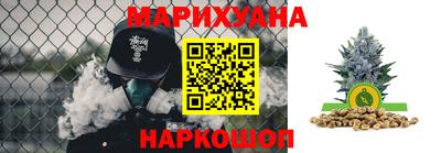 индика Аша