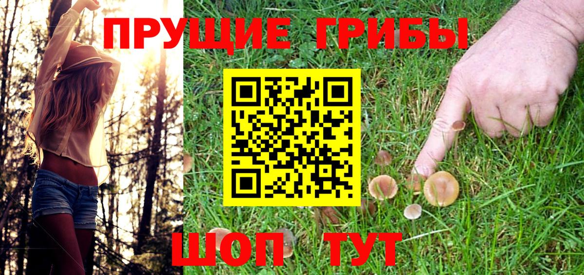 продажа наркотиков  Псилоцибиновые грибы мухоморы  Вход с VPN  Домодедово 
